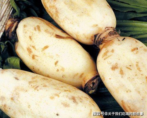 mooool木藕设计网吃瓜,mooool木藕设计网带你领略吃瓜艺术新境界