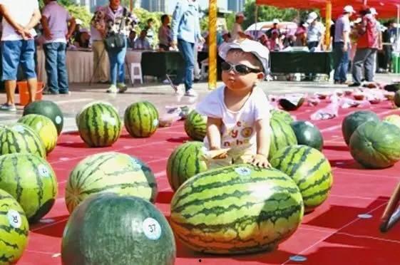 西藏网红网红吃瓜视频网站大全,揭秘藏地热门娱乐资讯平台